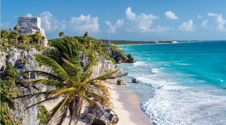 Experiencias en la costa de Quintana Roo