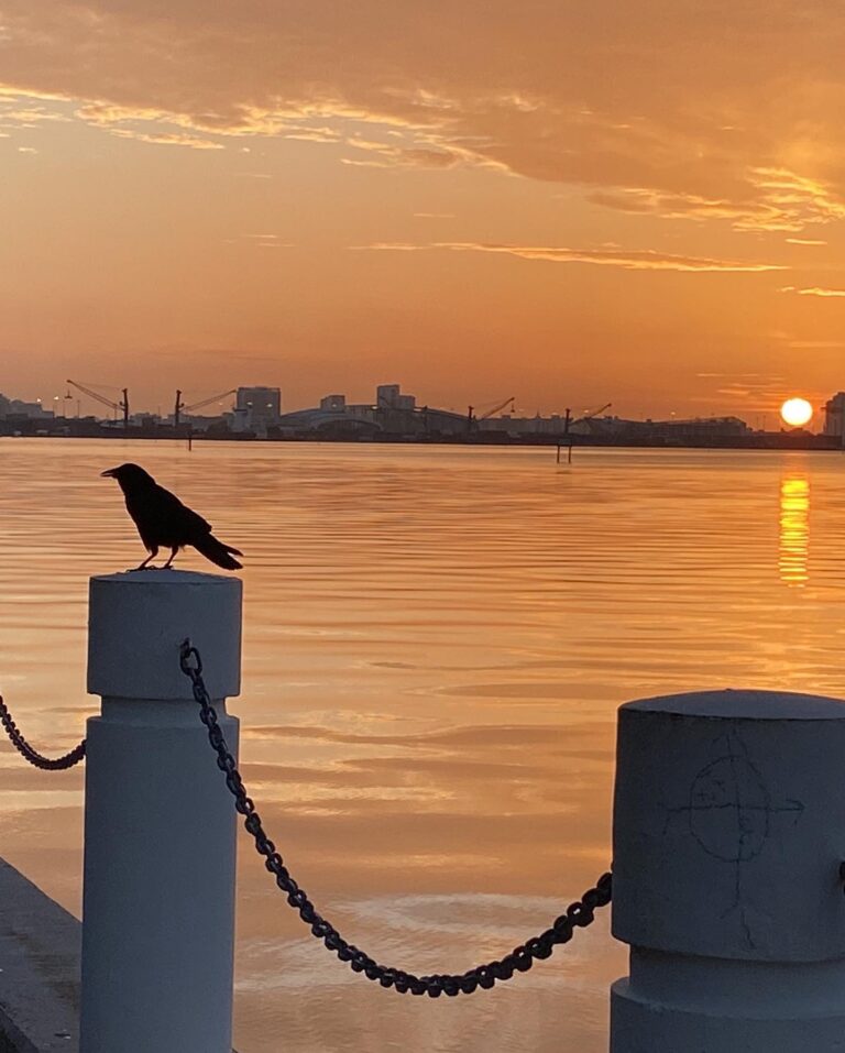 Amanecer en Miami