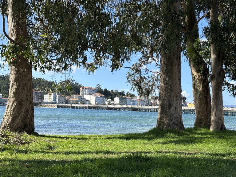 1. En O Grove el mar se escucha y se ve