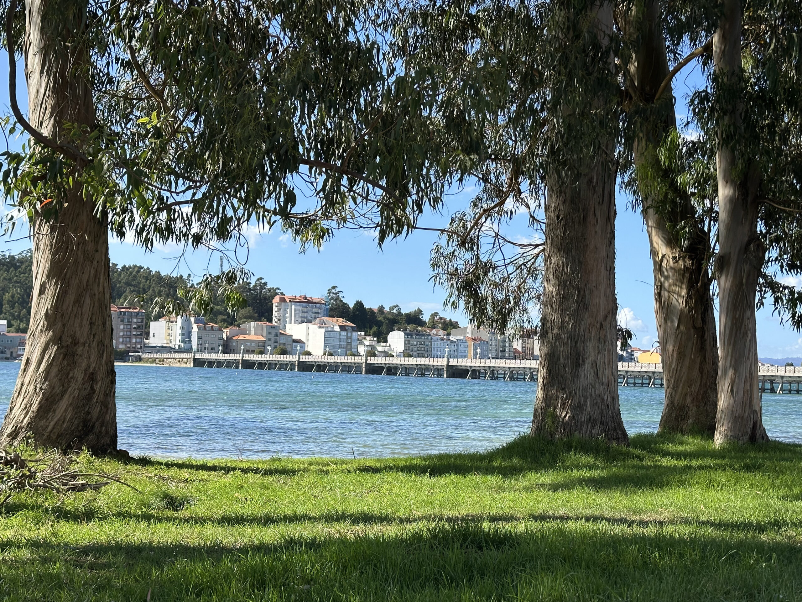 1. En O Grove el mar se escucha y se ve