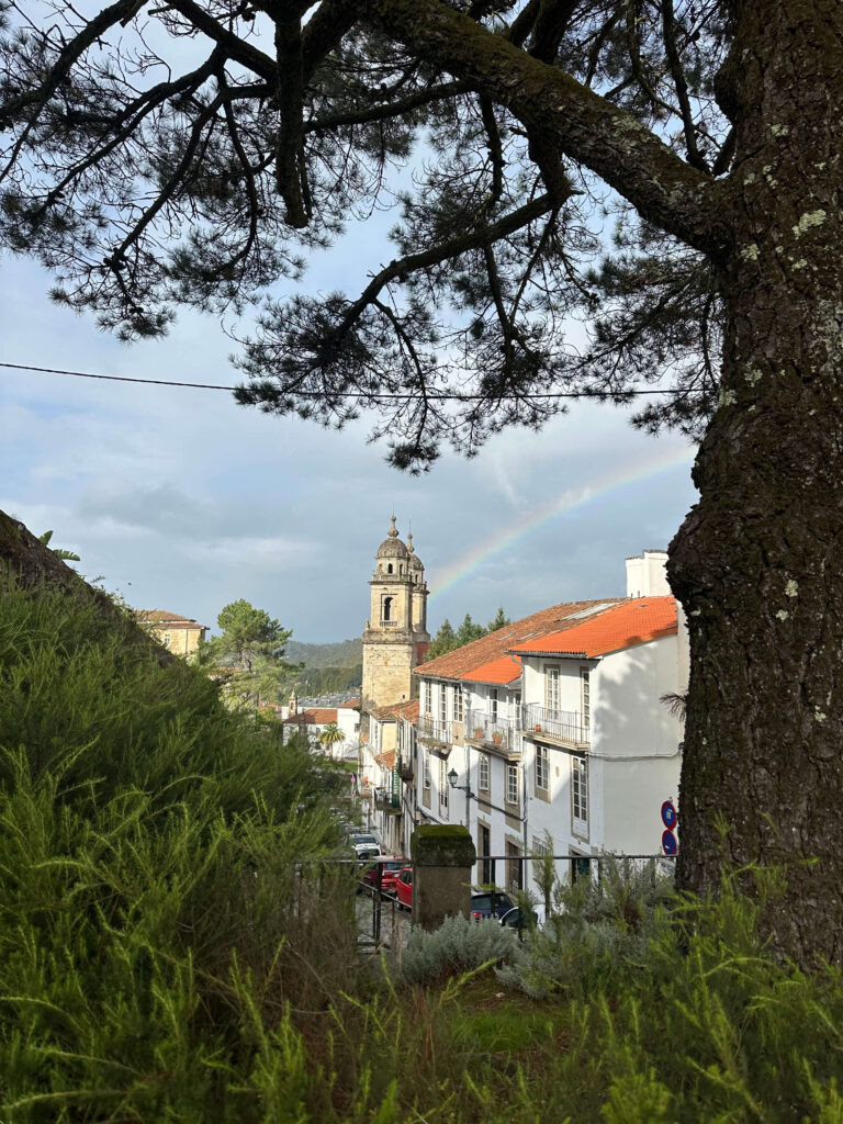 10. Crónica de O Pedrouzo a Monte do Gozo