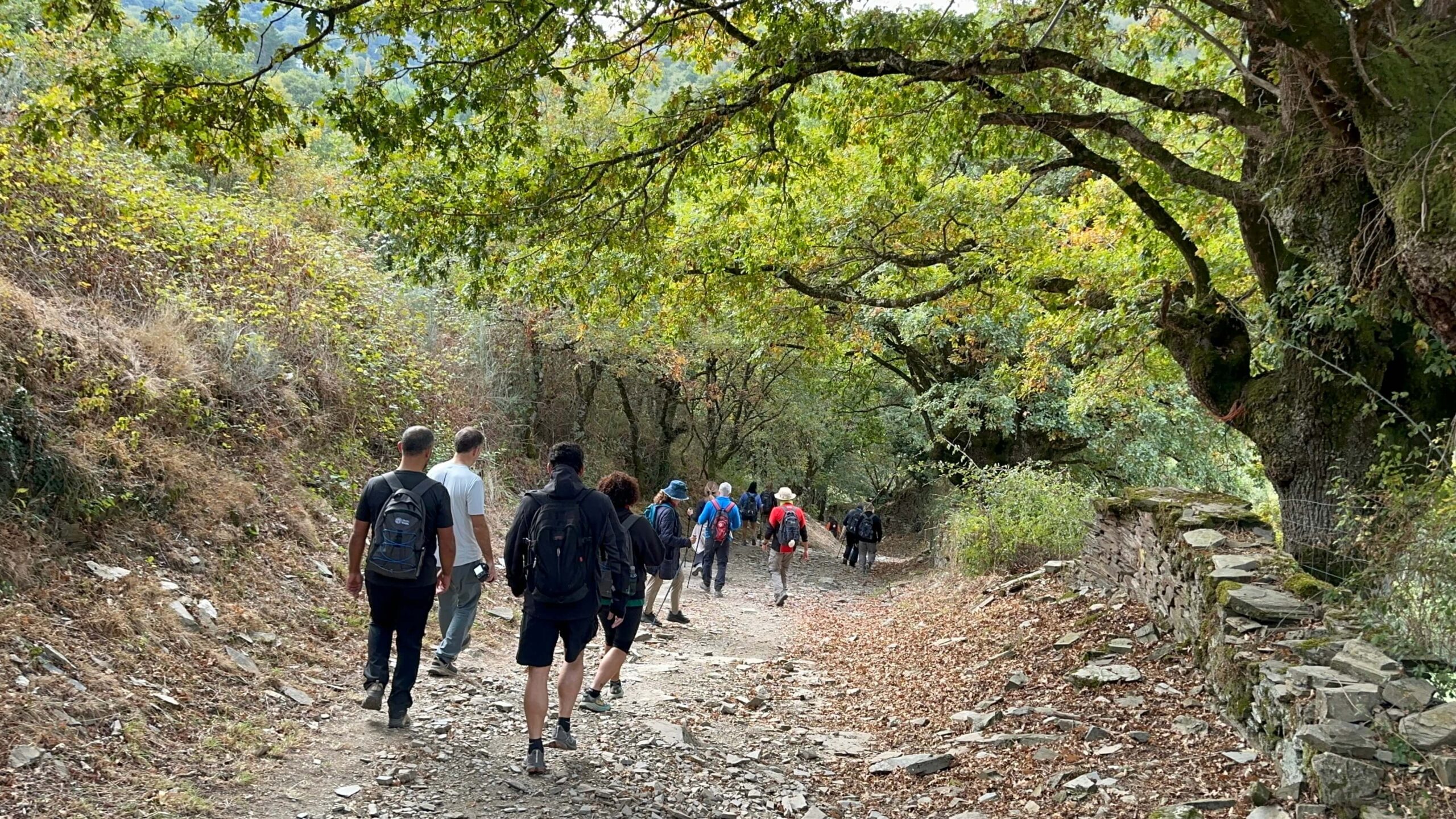 3. Crónica del Camino: O Cebreiro – Triacastela