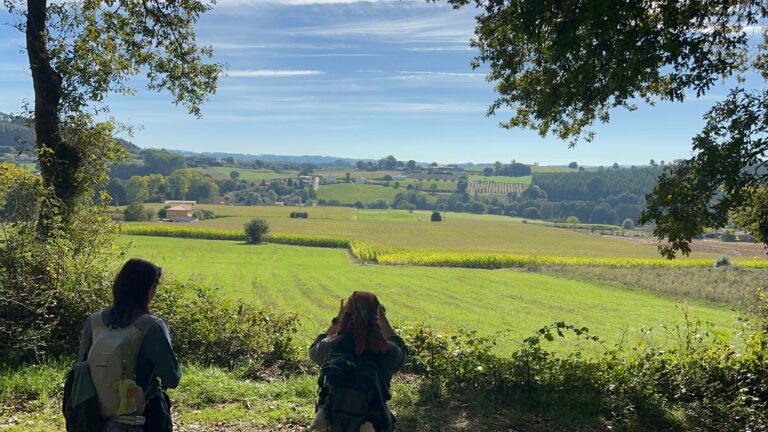 6. Portomarín – Palas de Rei