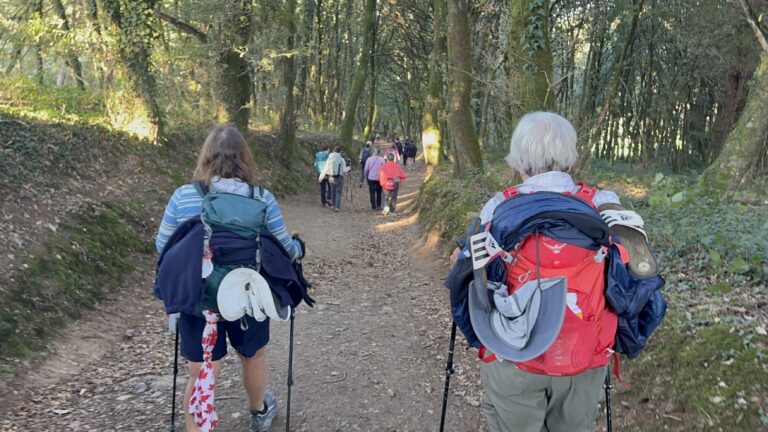 4. Crónica de Triacastela a Sarria