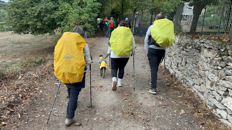 9. Crónica de Arzúa a O Pedrouzo