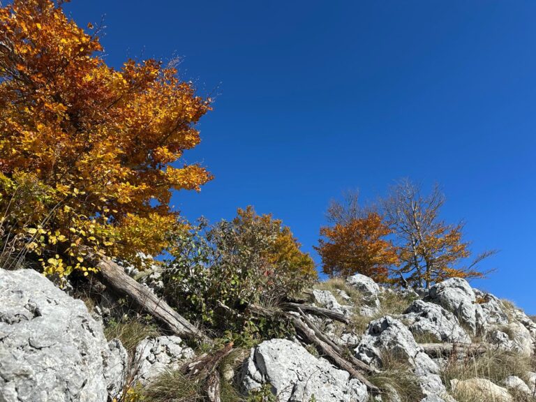 En la Venecia balcánica